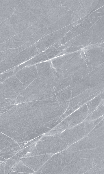 010100000350 На стену Elegance Grey wall 02 - фото 7