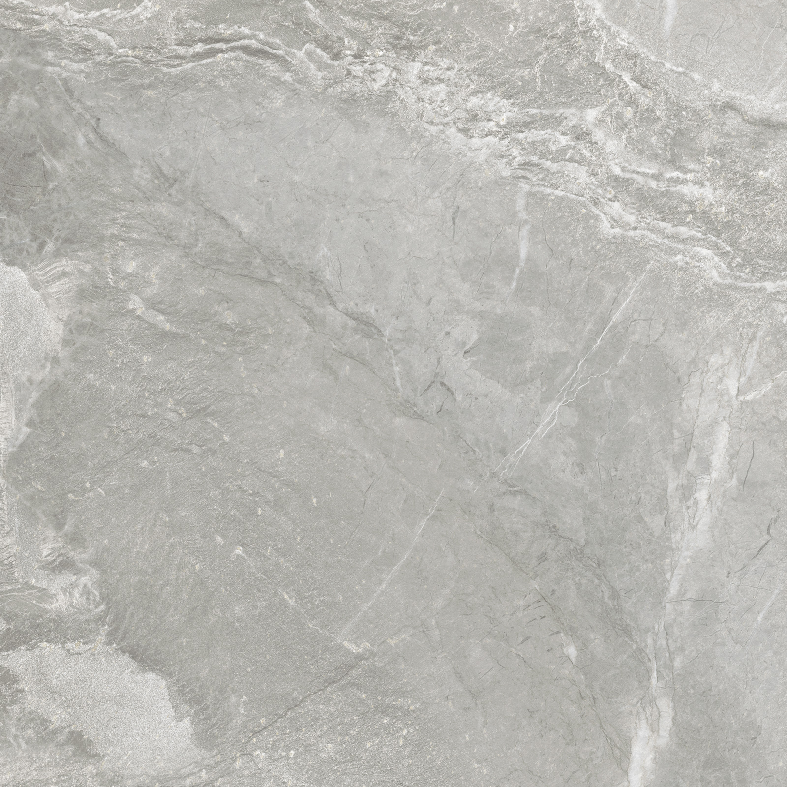 D60259M На пол Wild Light матовый 600x600x9.5 - фото 8