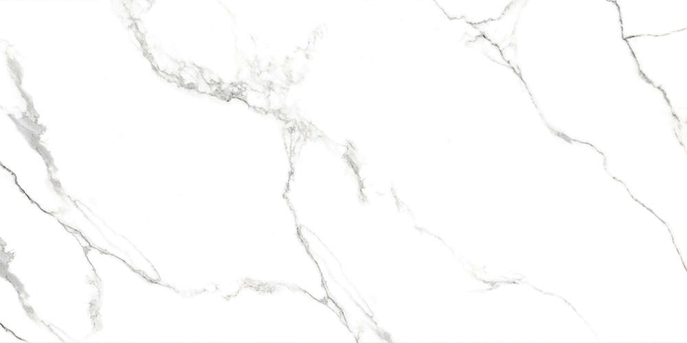 AB 1124G На пол Statiario Titan Gloss 120x60 - фото 5