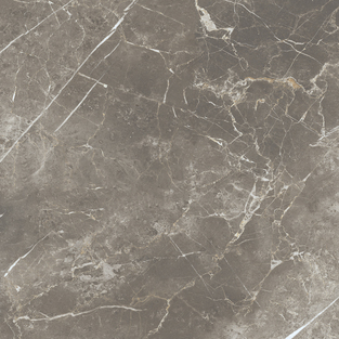 ECE3 На пол Elements Lux Persian Grey Silk RT 60x60 - фото 19