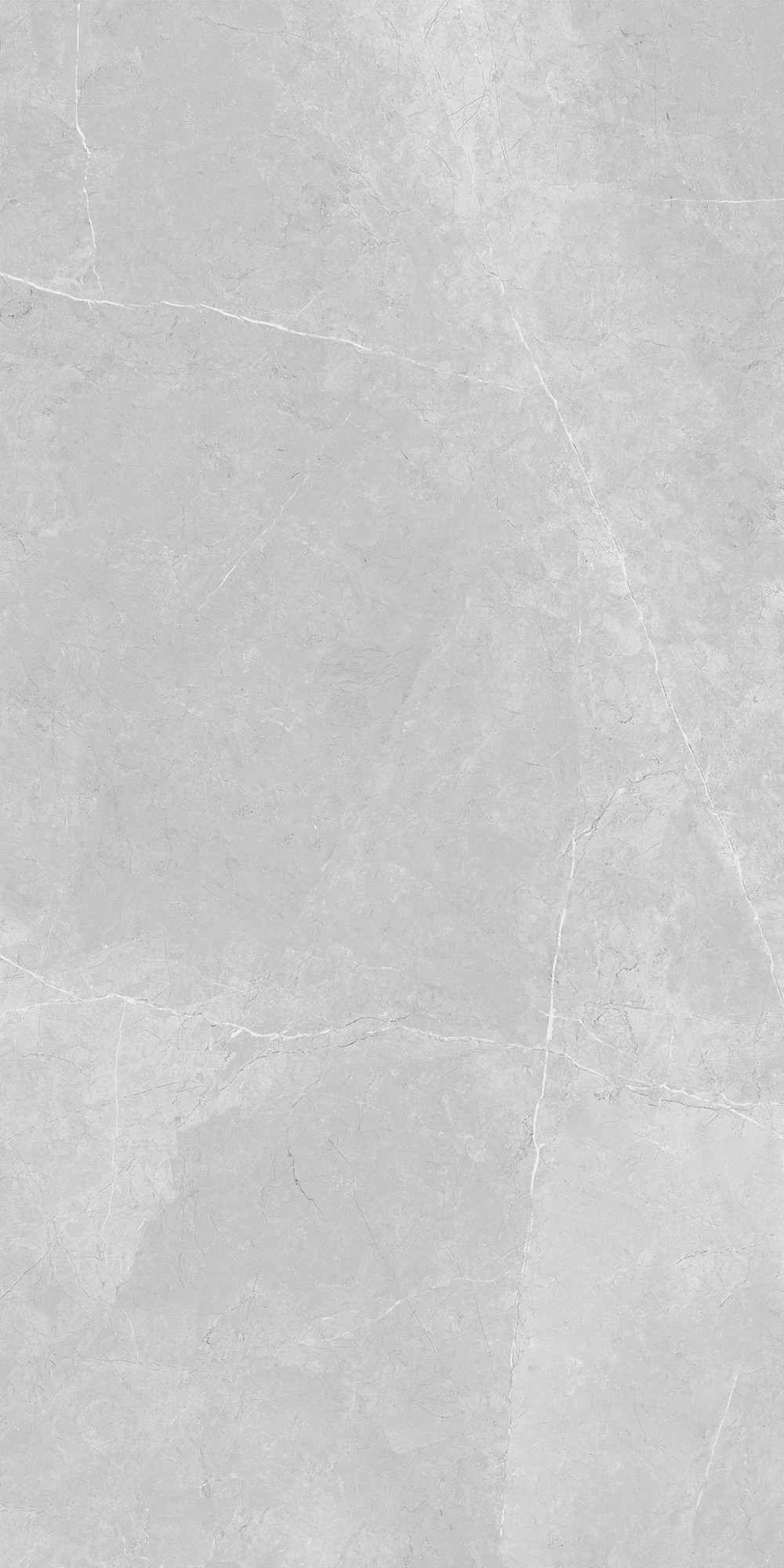 GT1206013001LR На пол Nioba Серый 60x120 - фото 3