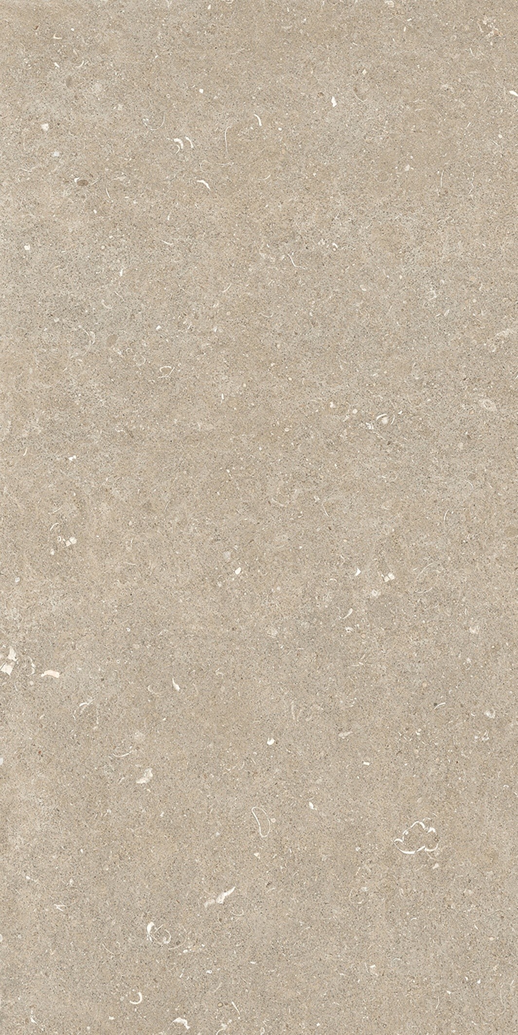 785575 На пол Rinascenza Arena Conchiglia Matte 6mm 60x120