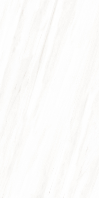 MPL-058637 На пол Persian White Persian White Polished 80x160 - фото 4