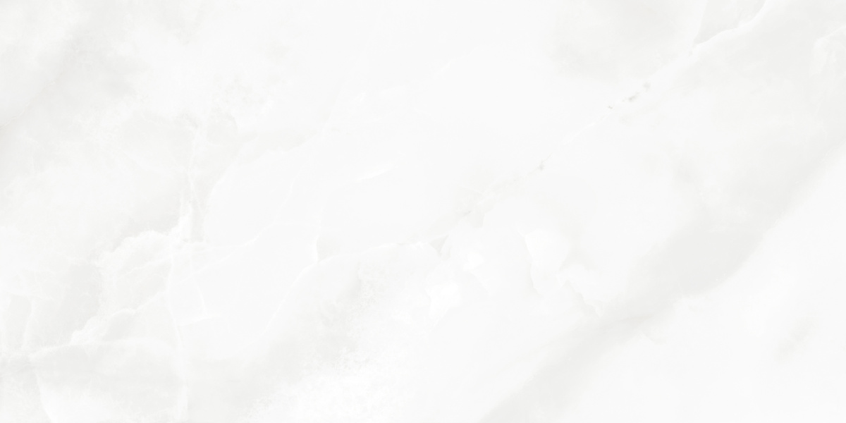 LP6012G0541R На пол Bernini Bianco белый глянцевые чернила 59.5х119.1 - фото 7