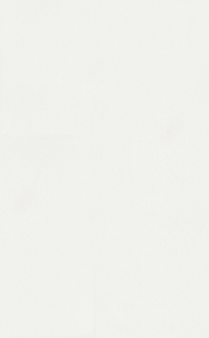 6304 На стену Петергоф Белый