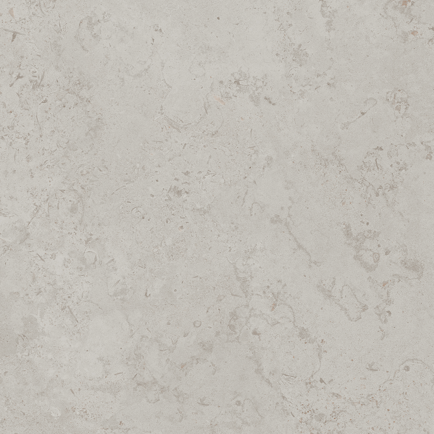 DD641020R На пол Про Лаймстоун Серый светлый натуральный 9мм 60х60 - фото 5