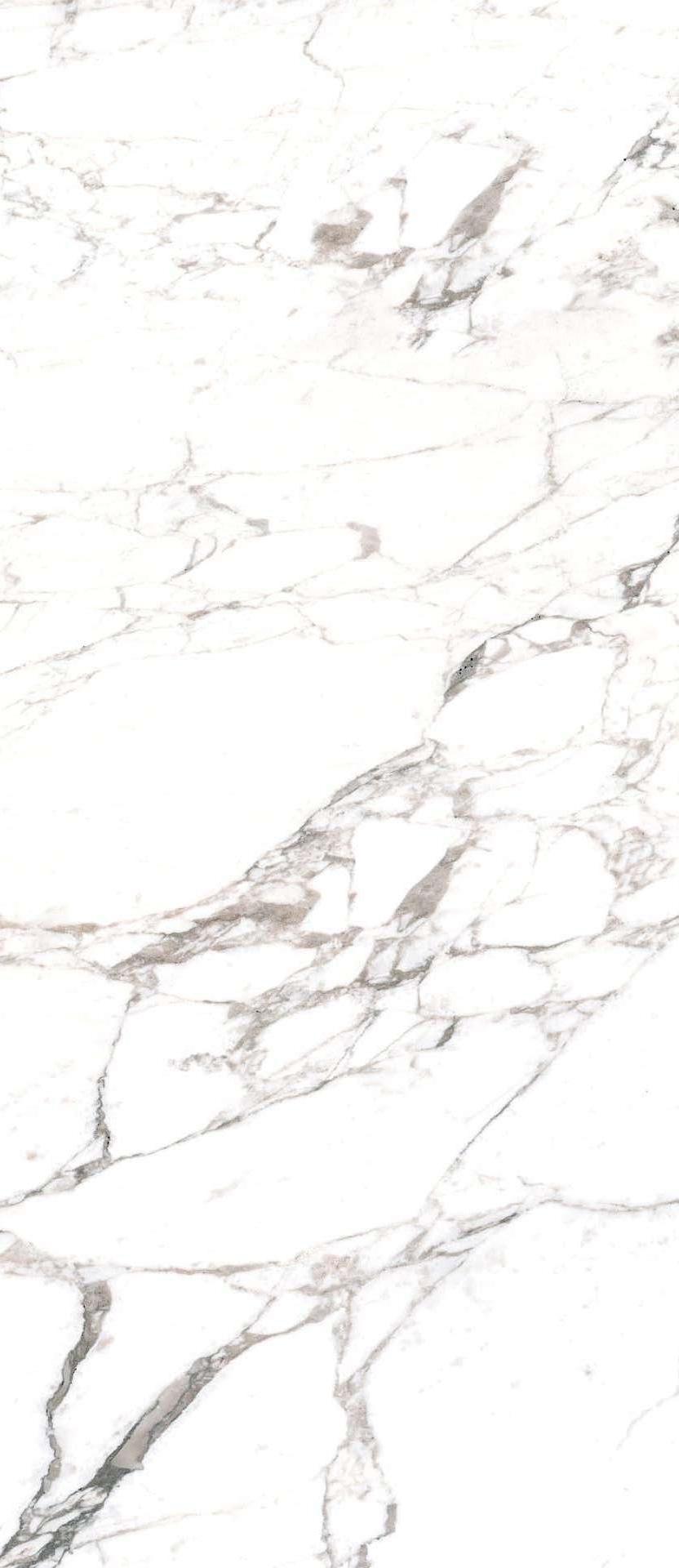 11570090 На пол Marmoker Calacatta Extra Honed 6mm 120x278