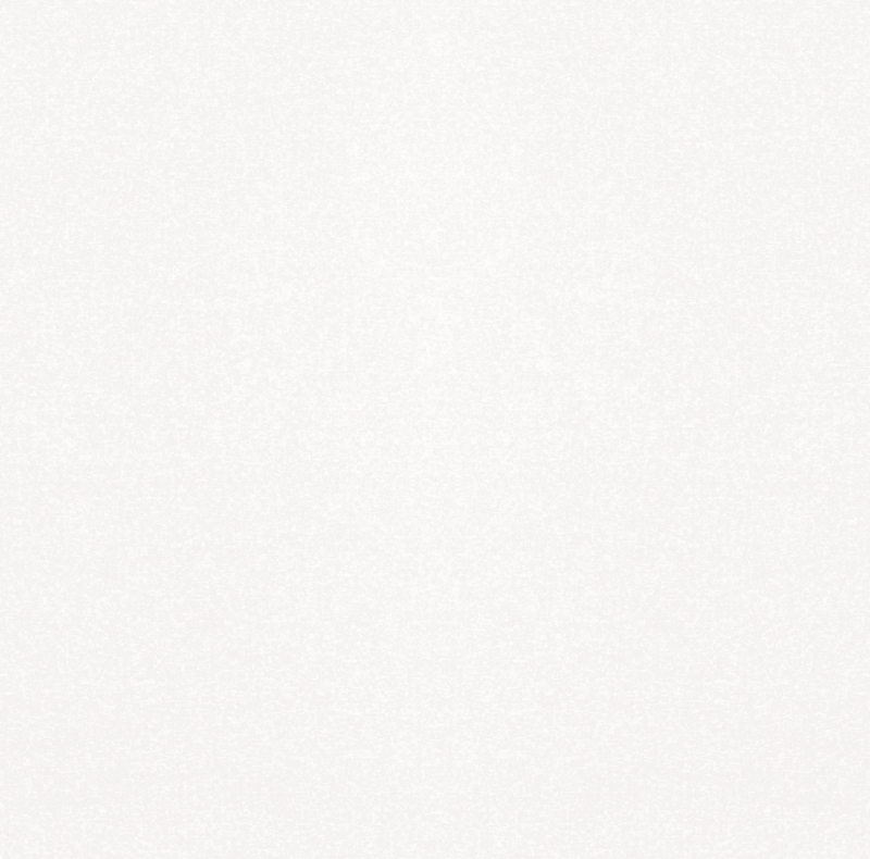 010400000671 На пол Blanc Monocolor Sugar white PG 01