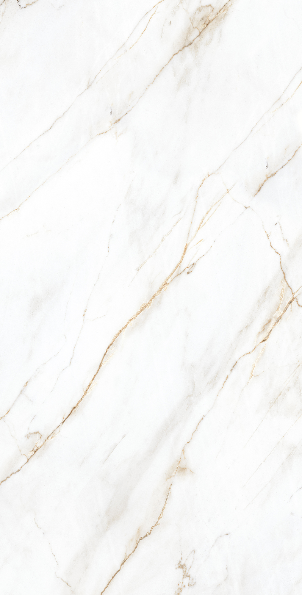 CP4004-A На пол Selva Gold Carving Pro 60x120