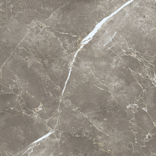 ECE3 На пол Elements Lux Persian Grey Silk RT 60x60 - фото 20