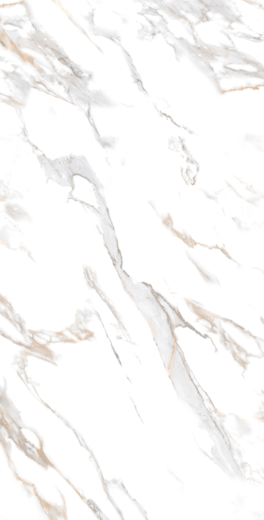 CR4019-A На пол Calacatta Gold Carving 60x120 - фото 2