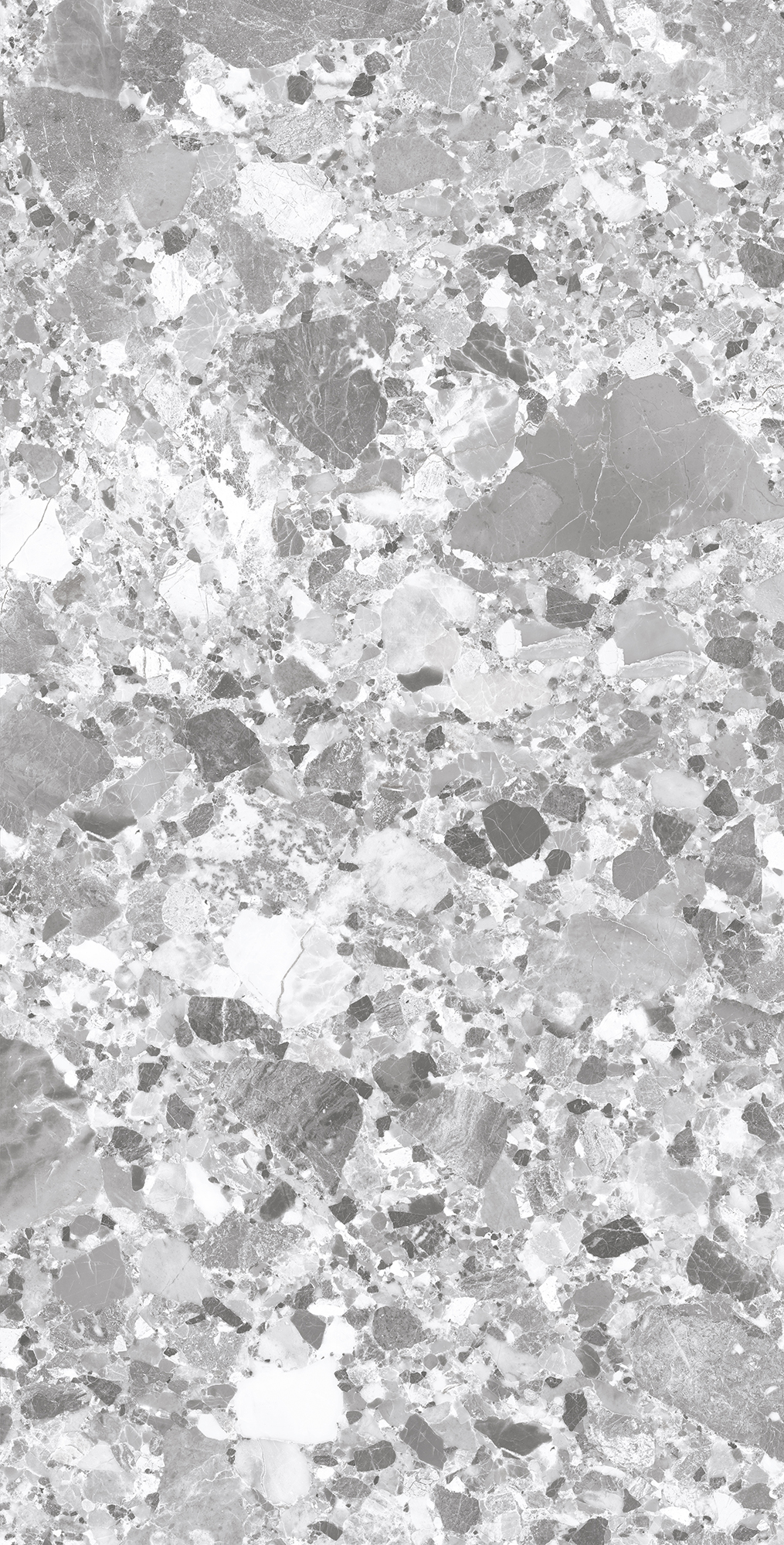 SL1004-A На пол Terragona Silver Solido 60x120 - фото 5