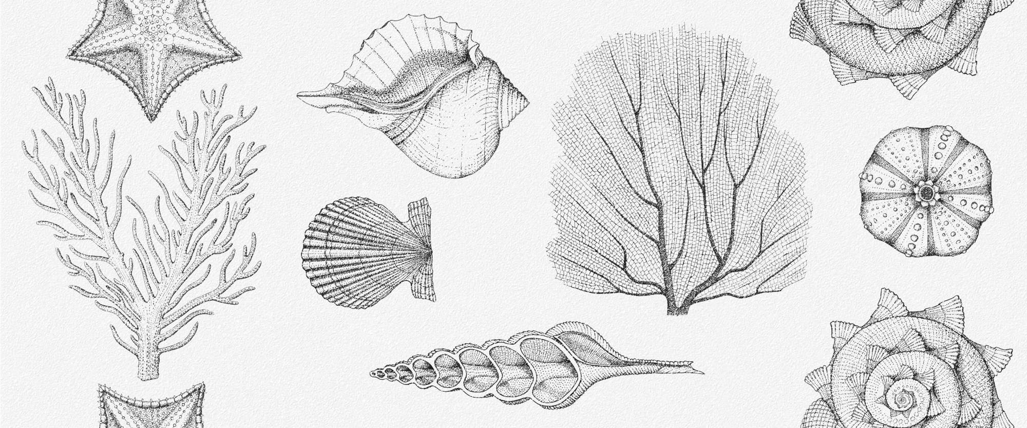 010100001536 На стену Aqua White белый 01 25x60