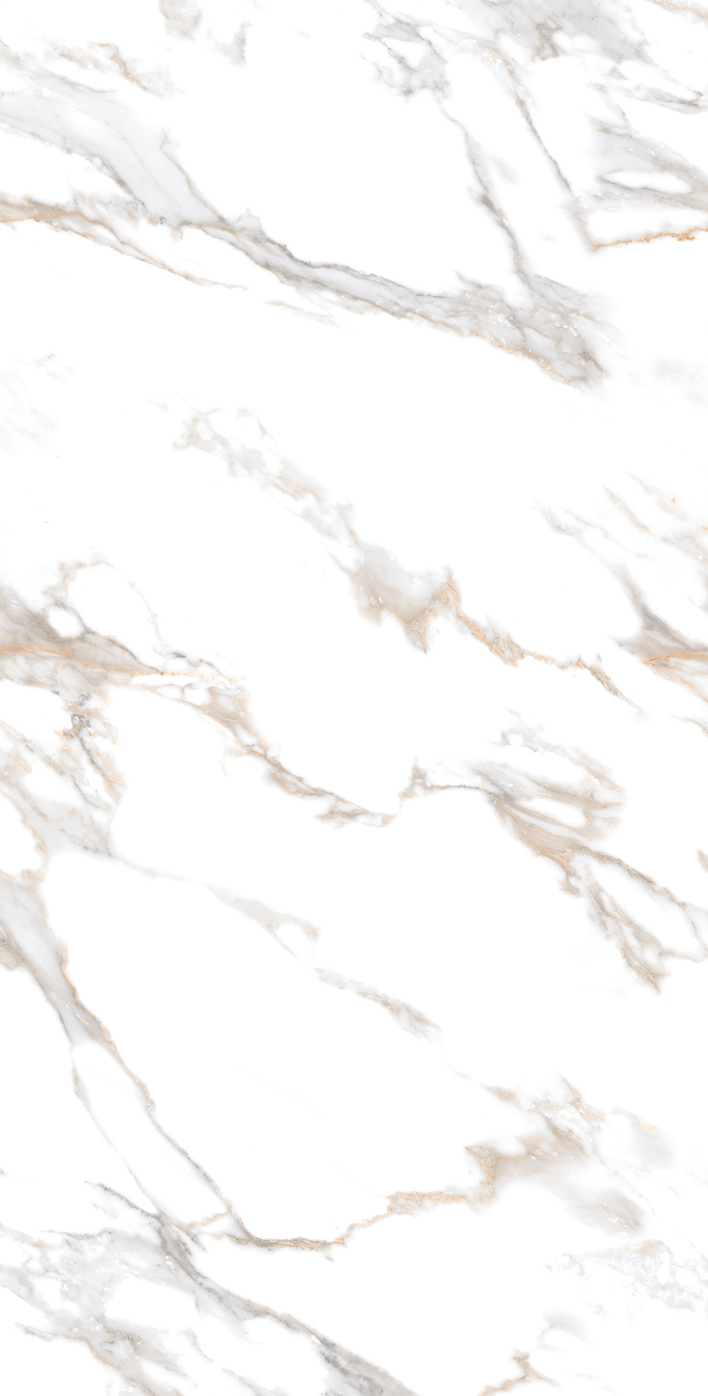 CR4019-A На пол Calacatta Gold Carving 60x120