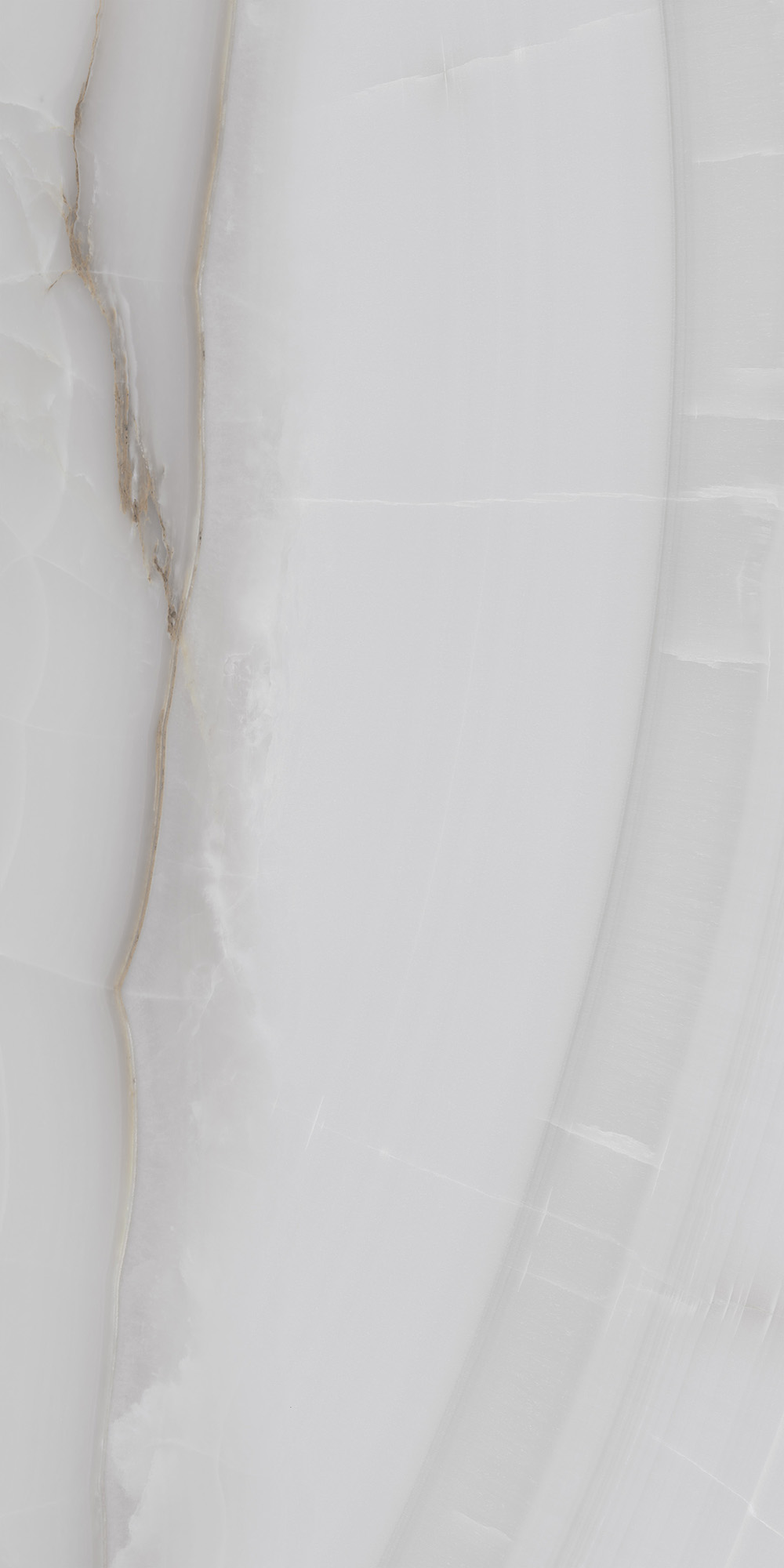 FP1025-A На пол Onyx Line Grey Full Polished 60x120 - фото 2