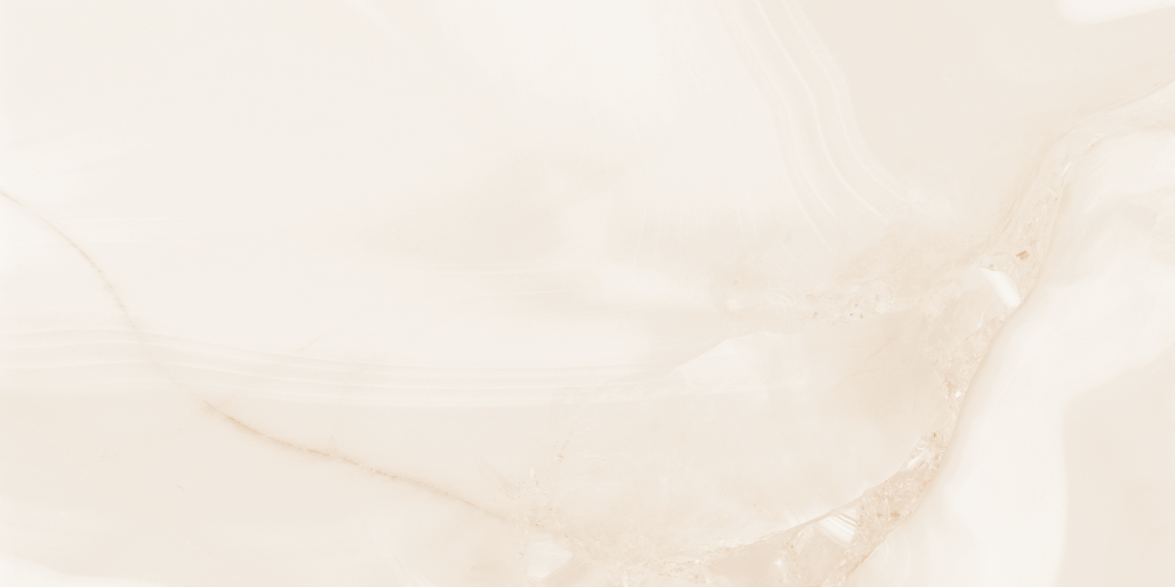 QVL4607M На пол Queen Serenity Onyx Matt 60x120 - фото 5