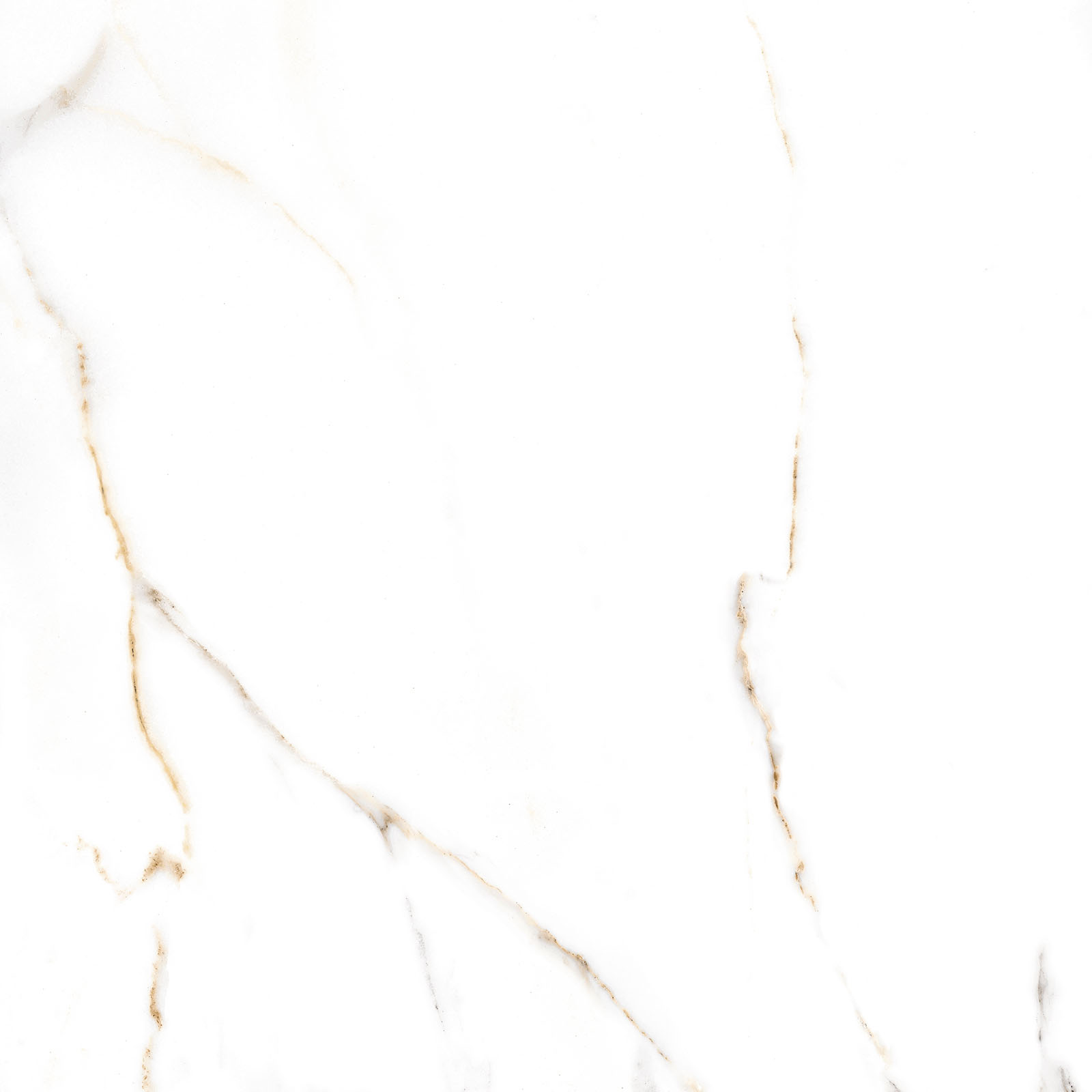 GFU6060ECL04R На пол Extra Calacatta 04R матовый 600x600x9 - фото 18