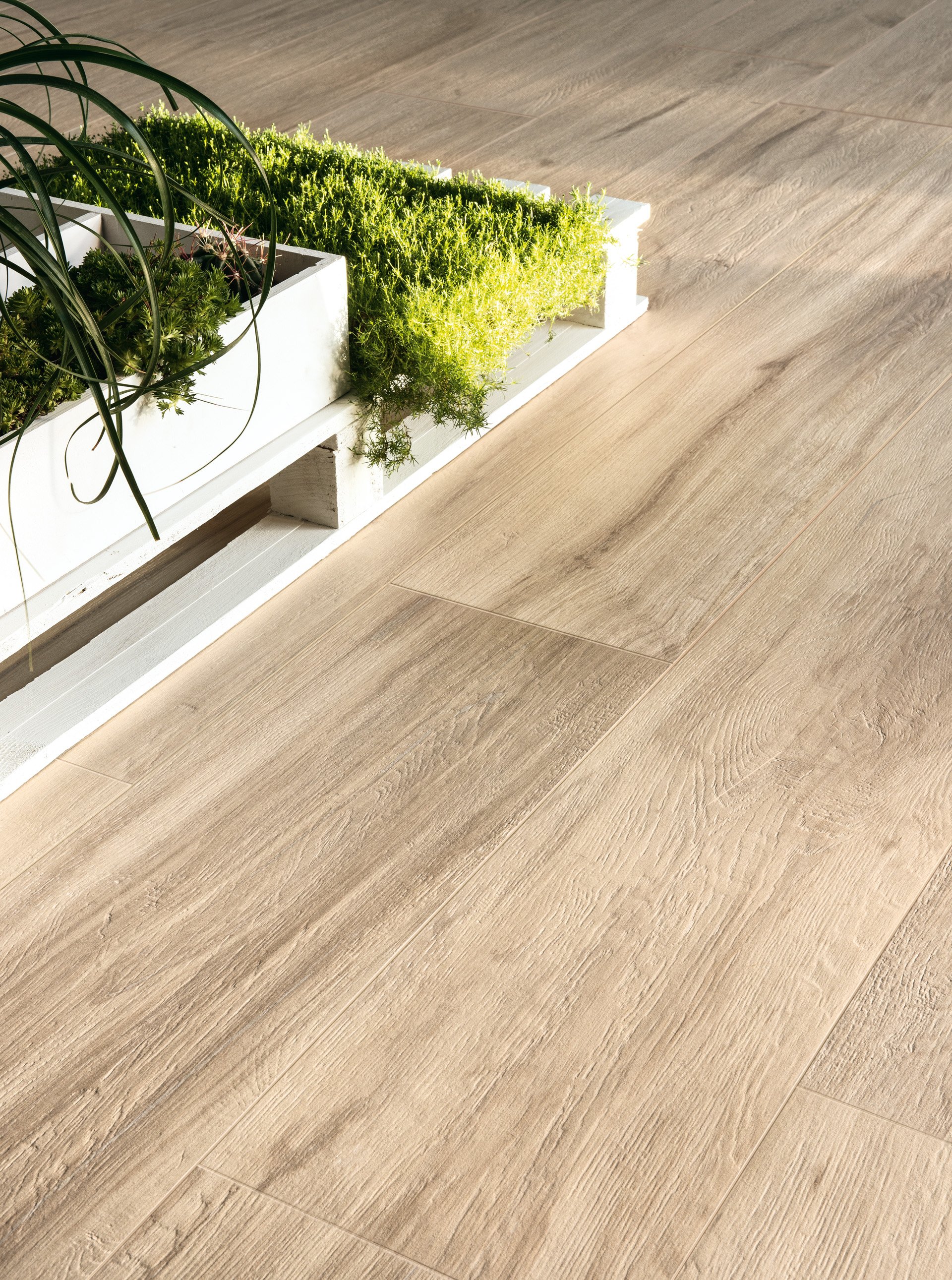 Gardenia Orchidea Just Venice - фото 8