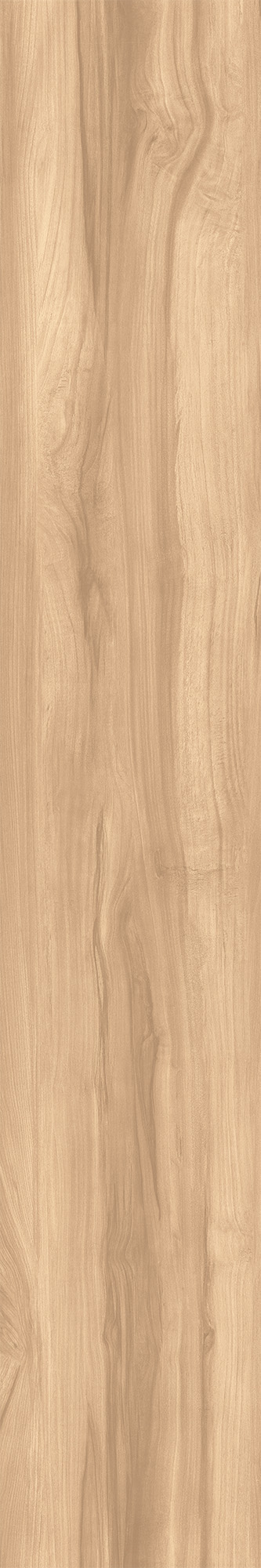 CW-RT09-B На пол Fossil Wood Brich Rustic 20x120 - фото 9