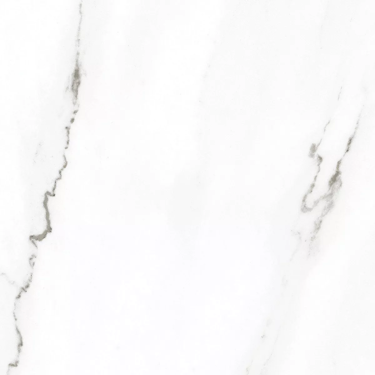 E-3010/MR/600x600x9 На пол Harmony Белый ректификат 600x600x9 - фото 2