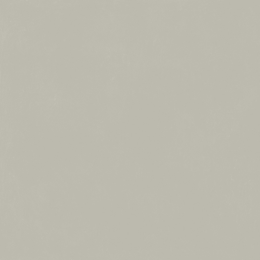 610010004198 На пол Forum Slim Silver Ret 120x120