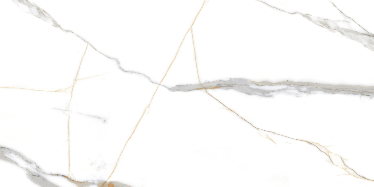 PRO 1059G На пол Roma Grigio Gloss 1200x600 - фото 6