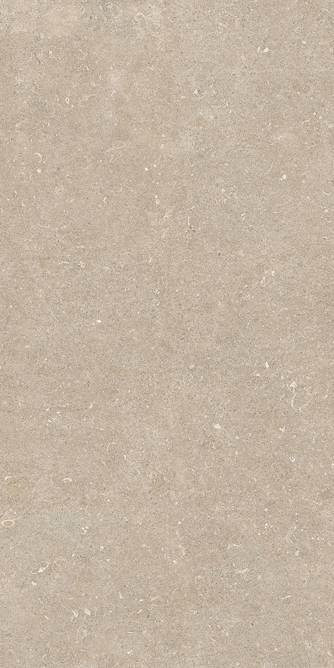 785575 На пол Rinascenza Arena Conchiglia Matte 6mm 60x120 - фото 3