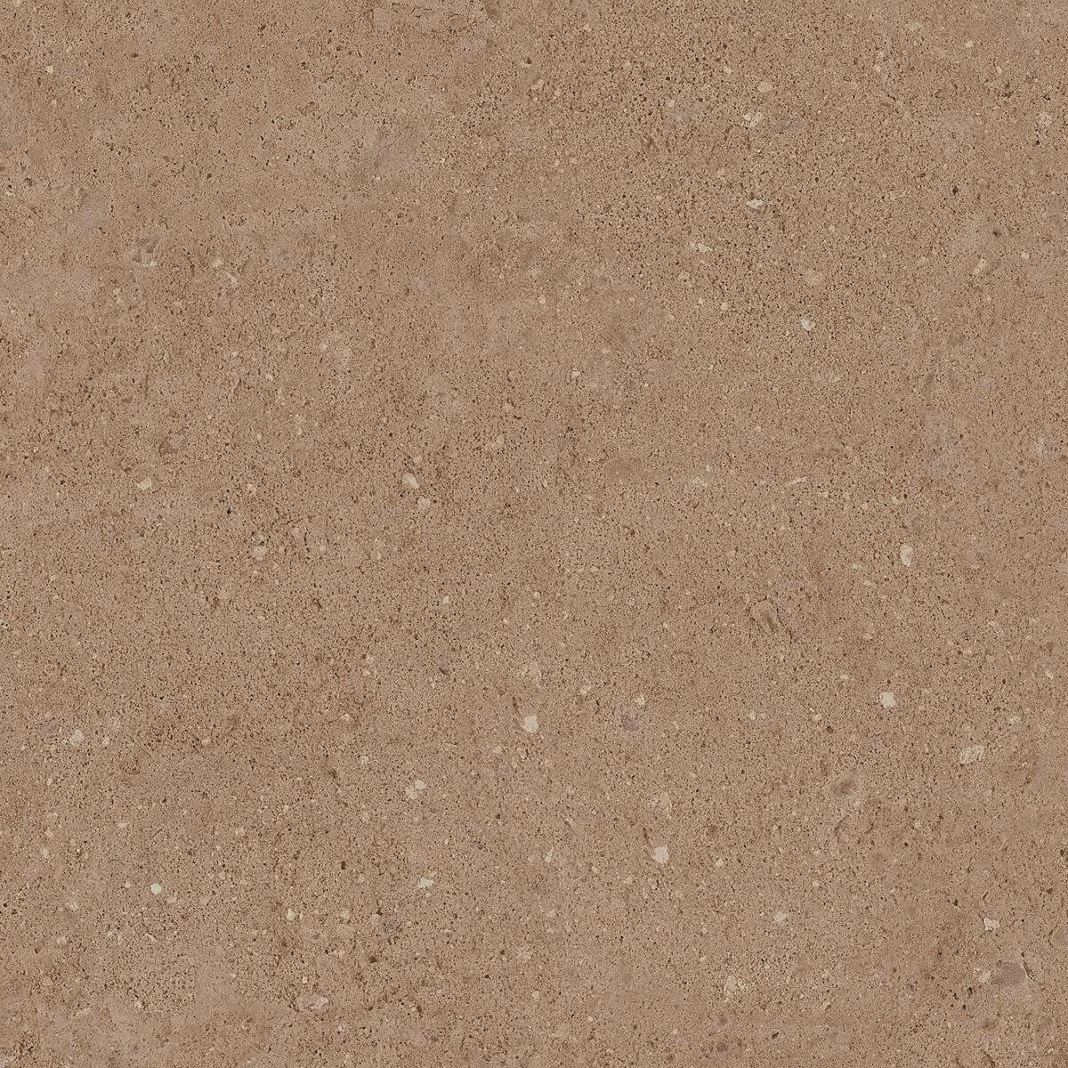 NP03/NS_R9/40,5x40,5x8N/GW На пол Newport NP03 неполированный 40.5x40.5