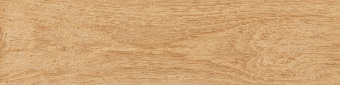 KM1040G0011N На пол Аргания Бежевый матовый 9.9x40.2x0.8