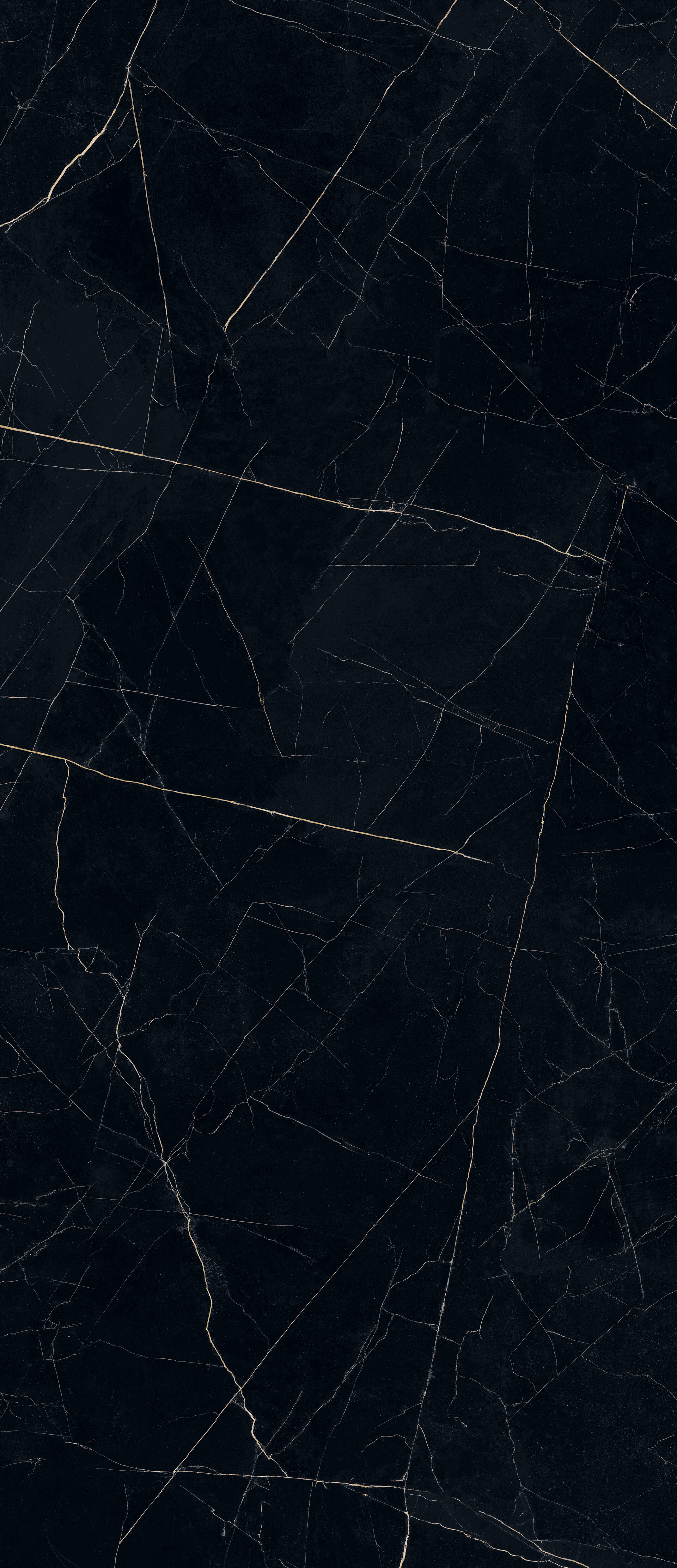 78NH98P На пол Nero Ardi Pulido 5.6 mm 120x278