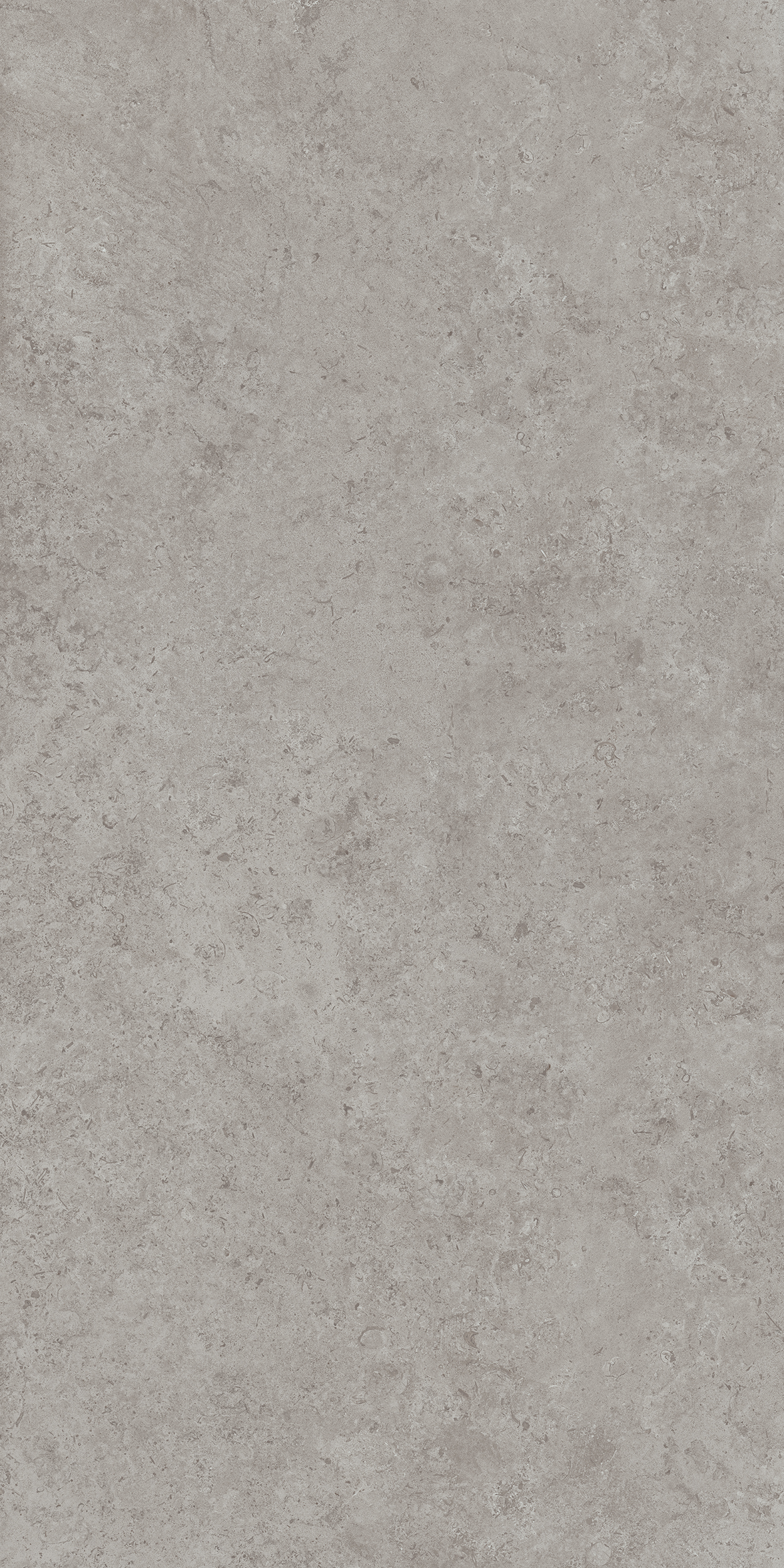 DD590600R На пол Про Лаймстоун Ат Серый Натуральный Обрезной 119.5х238.5 - фото 3