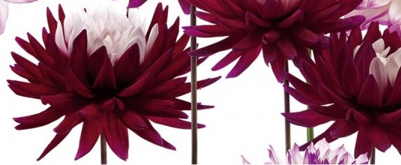 Панно Porto Dec. Flower B (из 2пл) 50х60 - фото 3