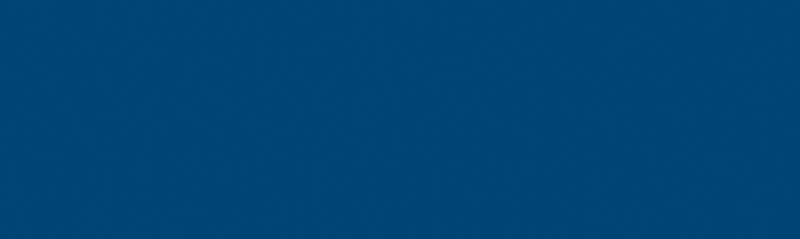 2834 На стену Дельфины Синий