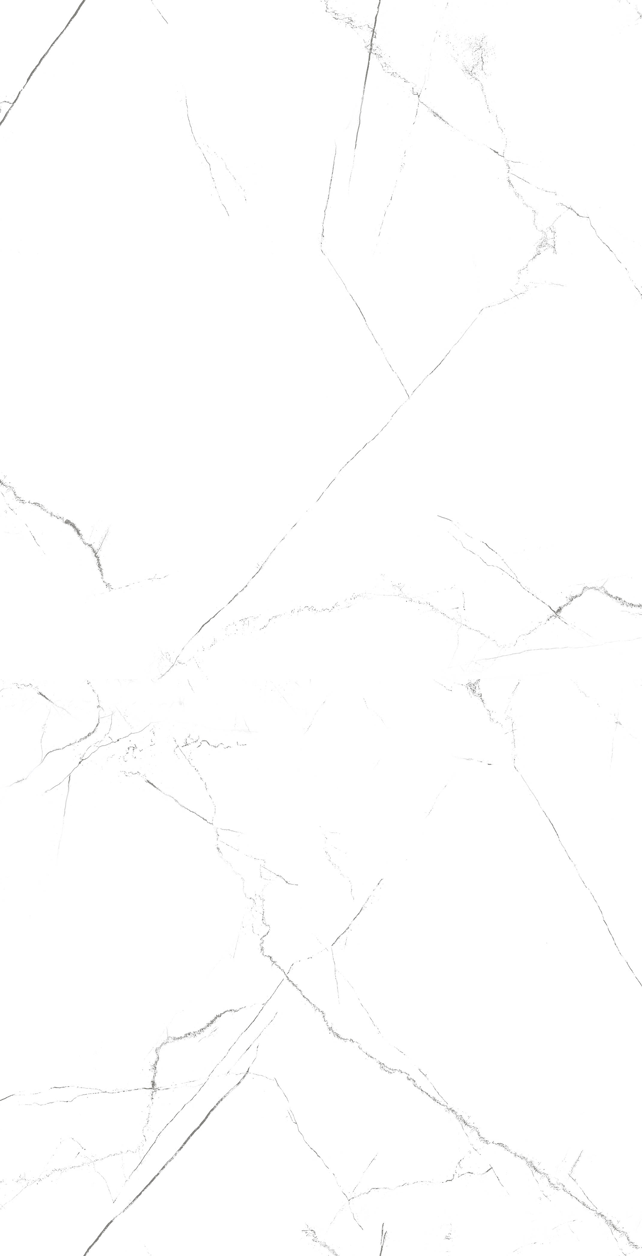 MOG101/PS_NC/60x120x9R/GW На пол Marble MOG101 White 120x60 Полированный Рект. - фото 7