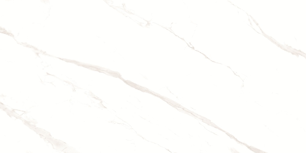 RP-238582  Pushkar White Matt 60x120 - фото 7