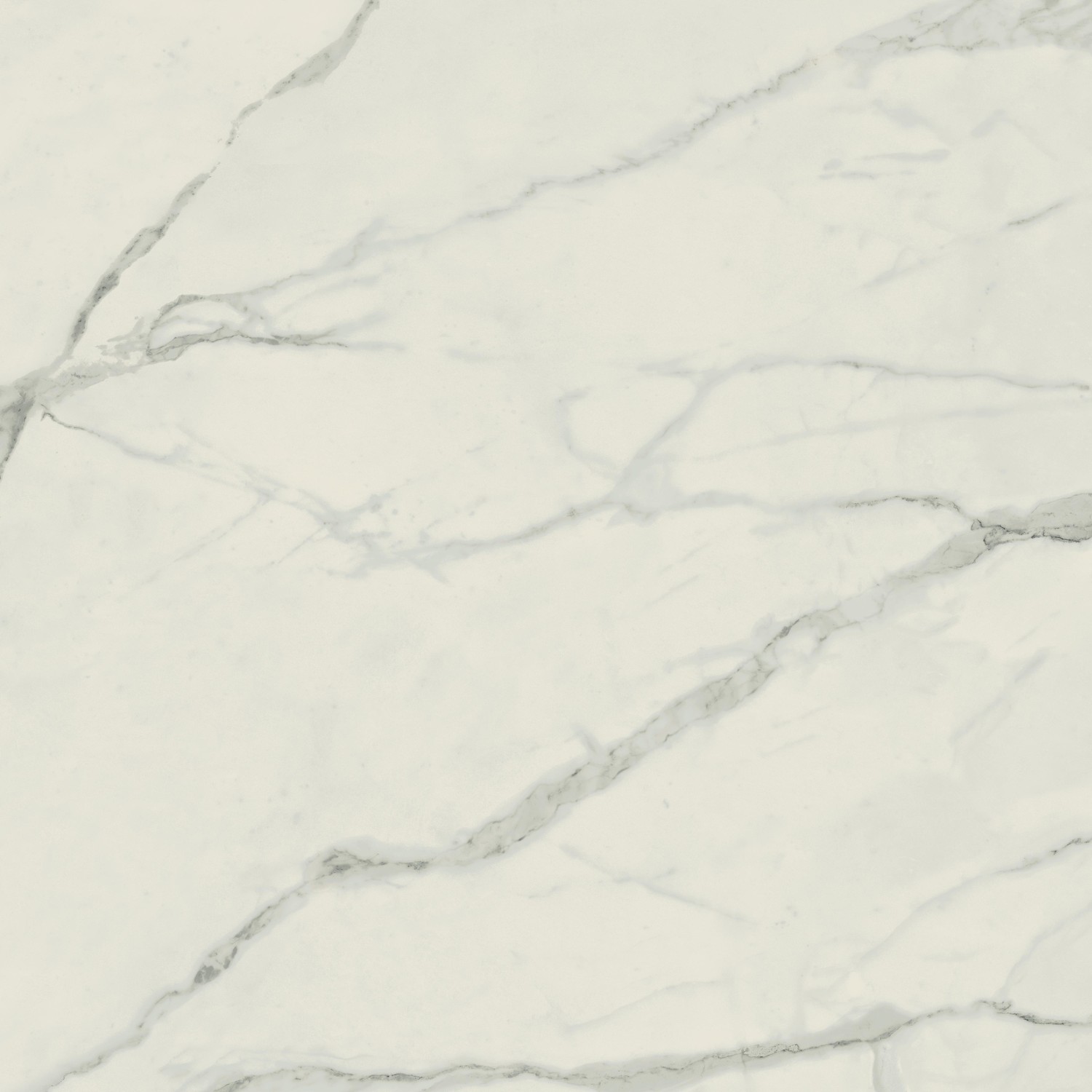 610010002177 На пол Empire Statuario Rett 80x80 - фото 2