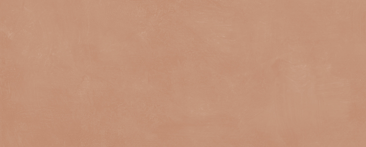 7254 На стену Каннареджо Оранжевый матовый 20x50x0.8 - фото 3