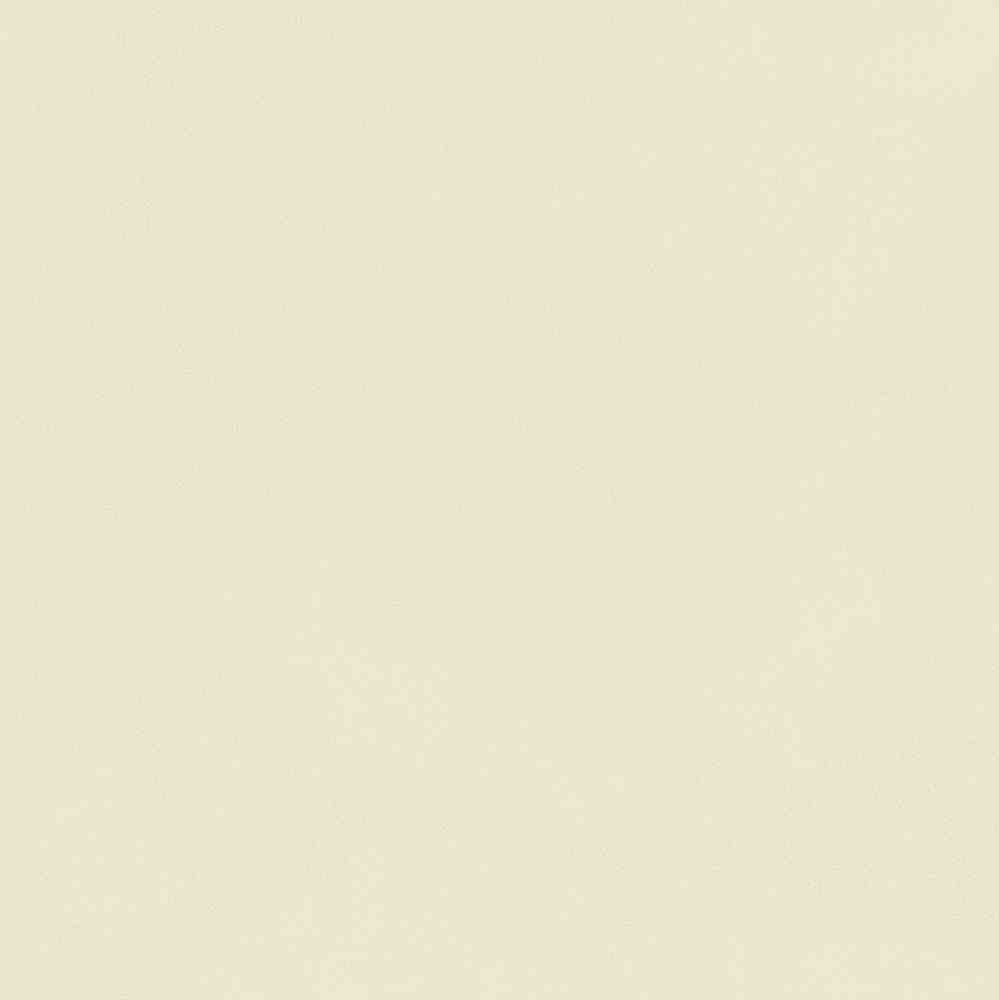 ENCLR6081MT2020 На пол Corsica Beige Matt 200х200х8 - фото 8