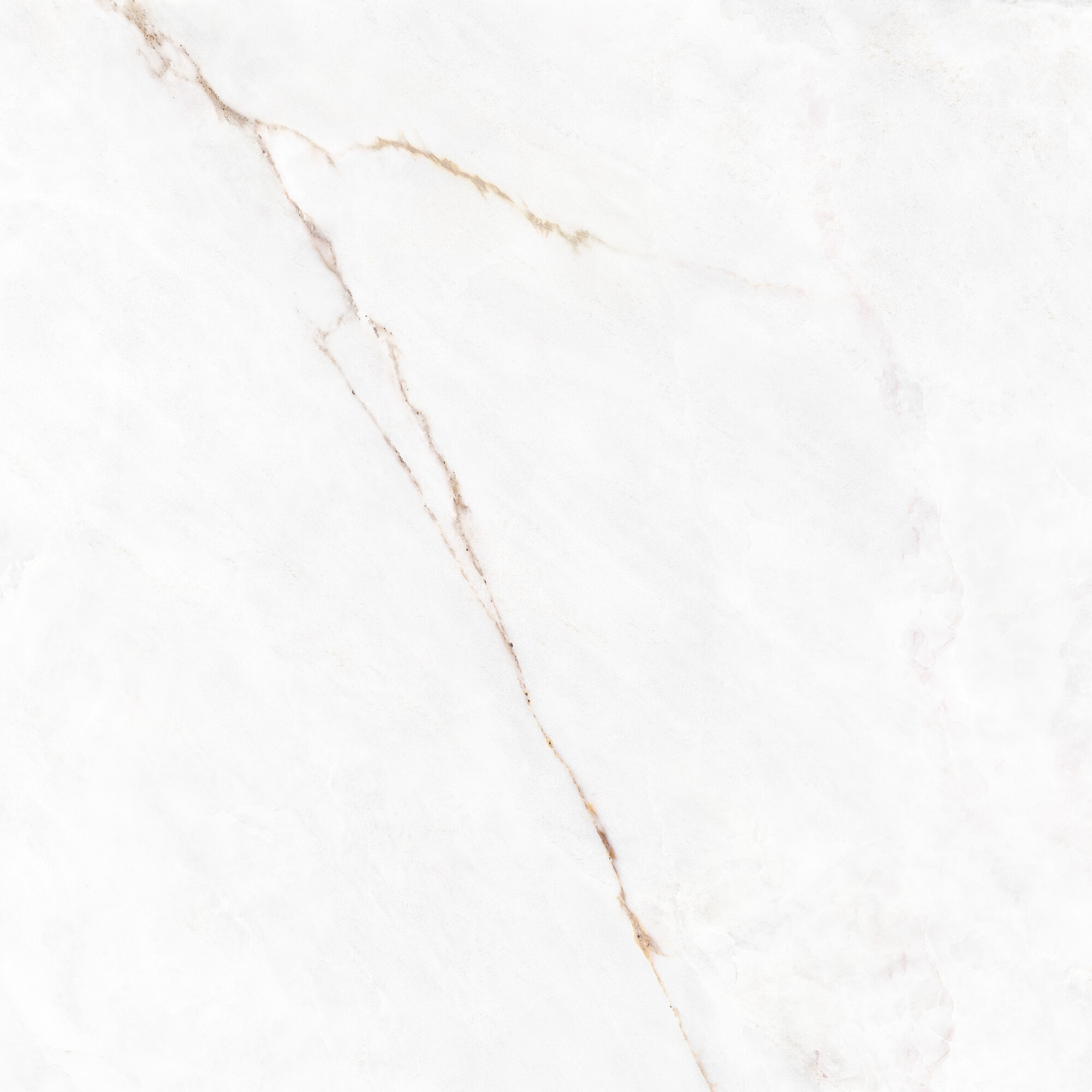 41431 На пол Museum Dahlia White SP/100X100X0.8/R 100x100 - фото 3