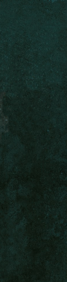 12-00-4-29-04-71-2563 На стену Magic Mint 5.85x24 - фото 3