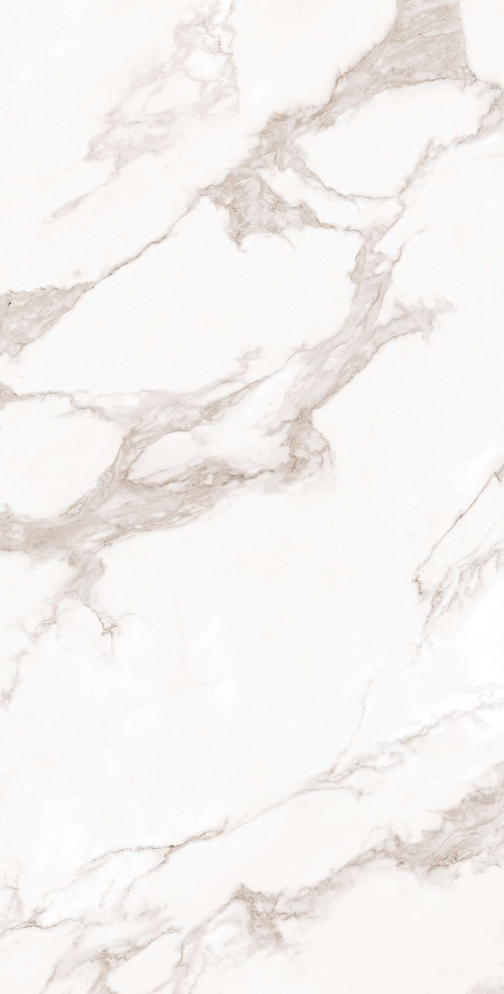 FP1019-A На пол Calacatta Bianco Full Polished 60x120