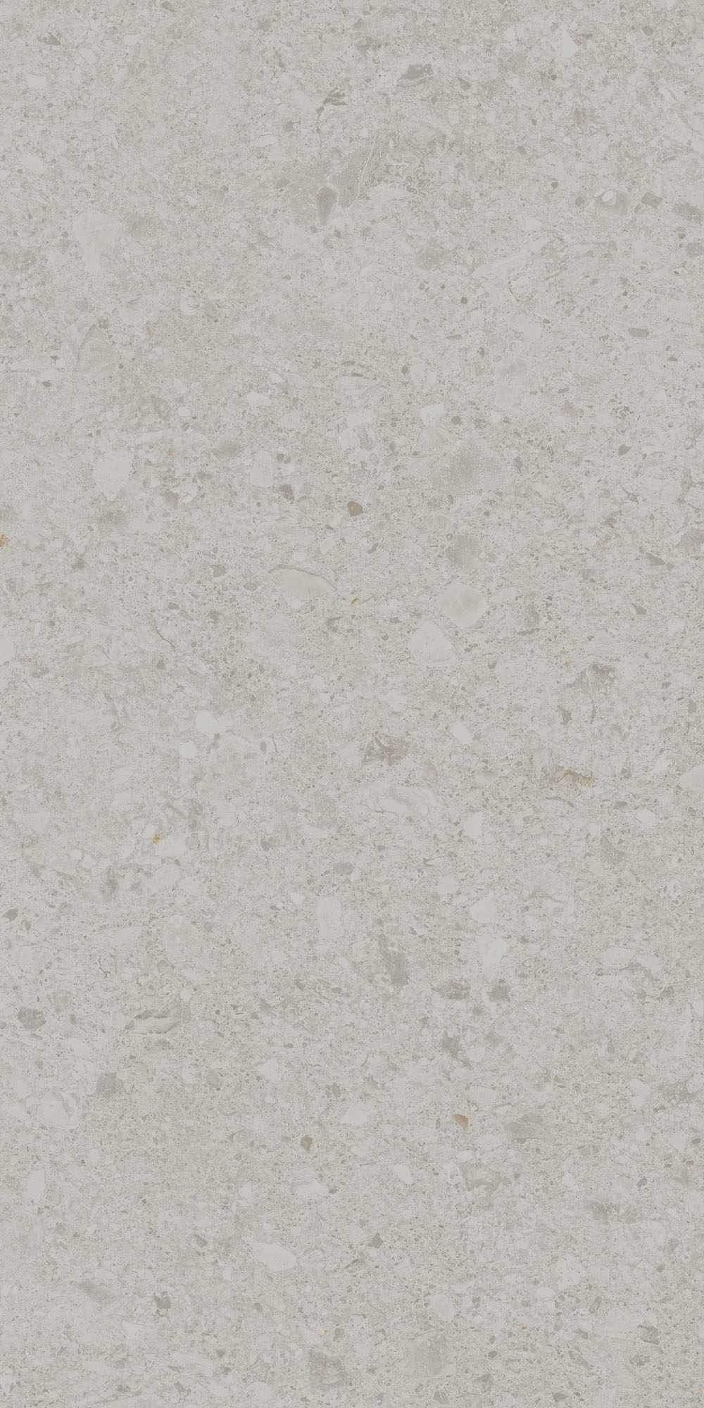 DD591200R На пол Чеппо ди Гре Серый светлый матовый обрезной 119.5x238.5x1.1 - фото 8