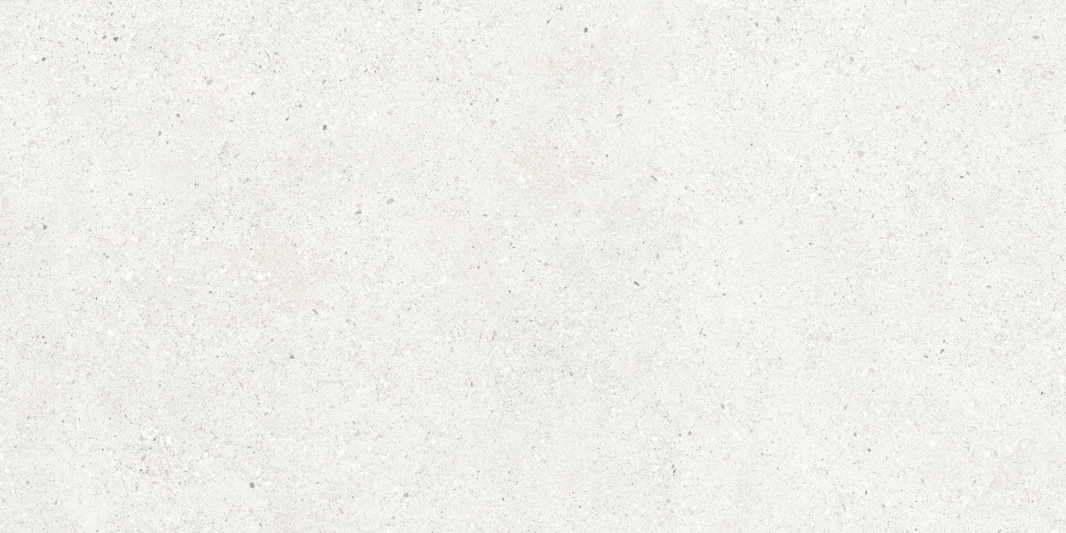 CR6012G0481R На пол Perla Bianco светло-серый матовый 59.5х119.1 - фото 4