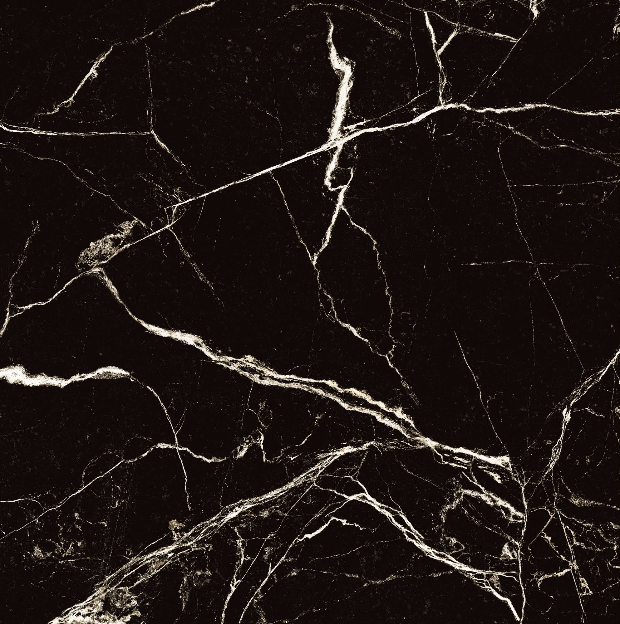 HG2008-A На пол Black Spinder High Gloss 60x60 - фото 2