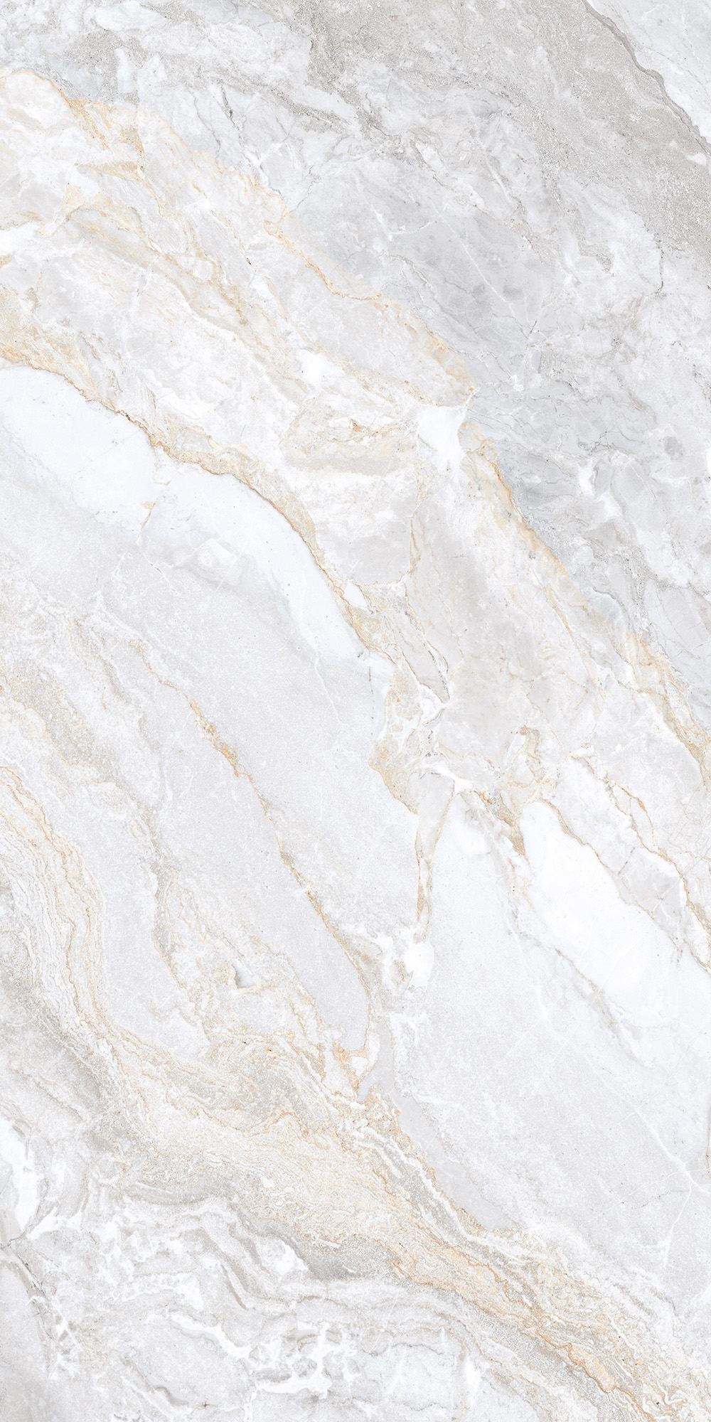 CL4006-A На пол Trivola Bianco Carving Lappato 60x120