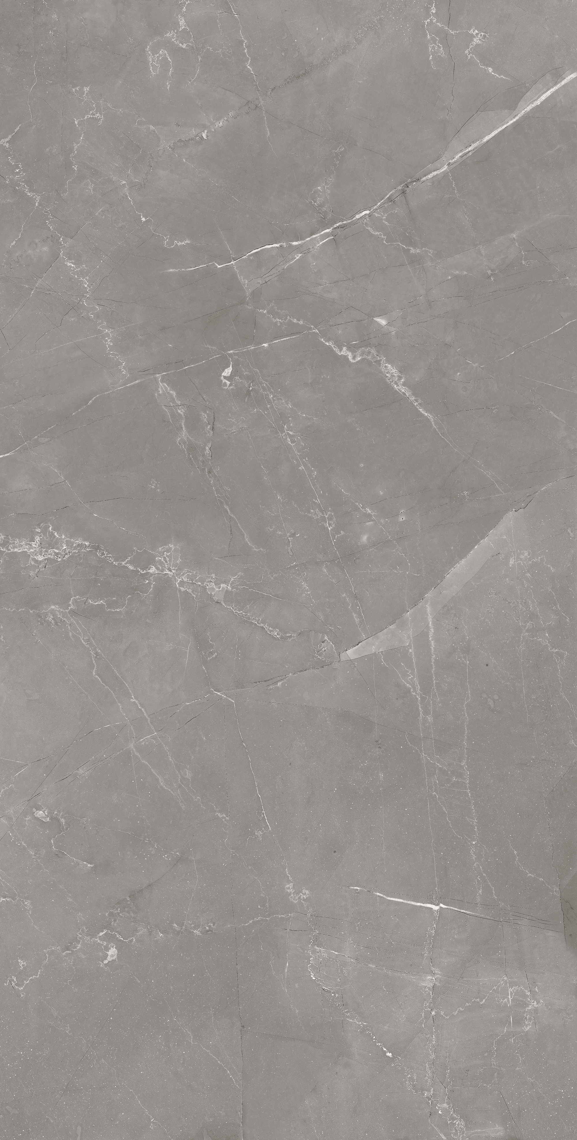 ETMAR1245CR60120 На пол Thunder Sky Carving 60x120