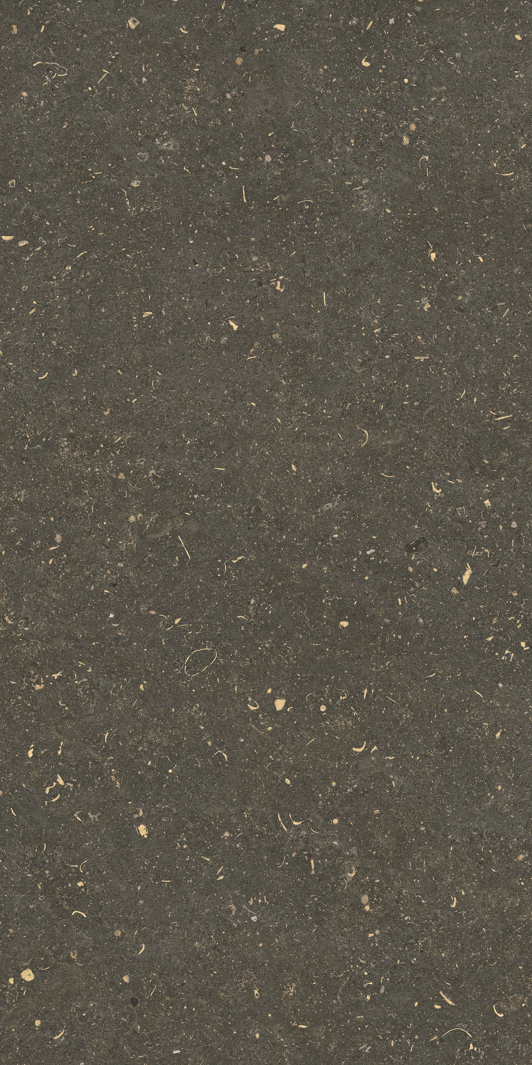 785495 На пол Rinascenza Arena Platino Grip 60x120 - фото 8