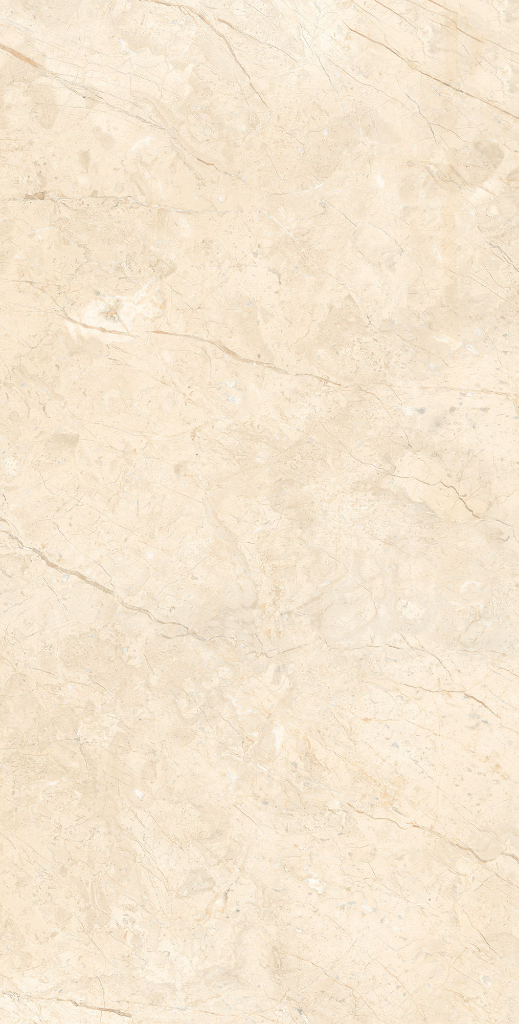 RT7016-A На пол Marcus Cremano Matt Rustic 60x120 - фото 2