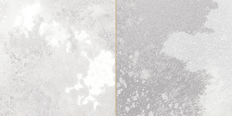 30962 На стену Fs Tradition Square Silver 20x40 - фото 2