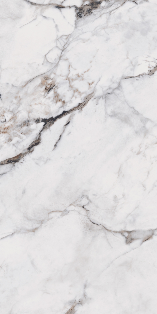 MOG103/PS_NC/60x120x9R/GW На пол Marble MOG103 White полированный 60x120 - фото 9